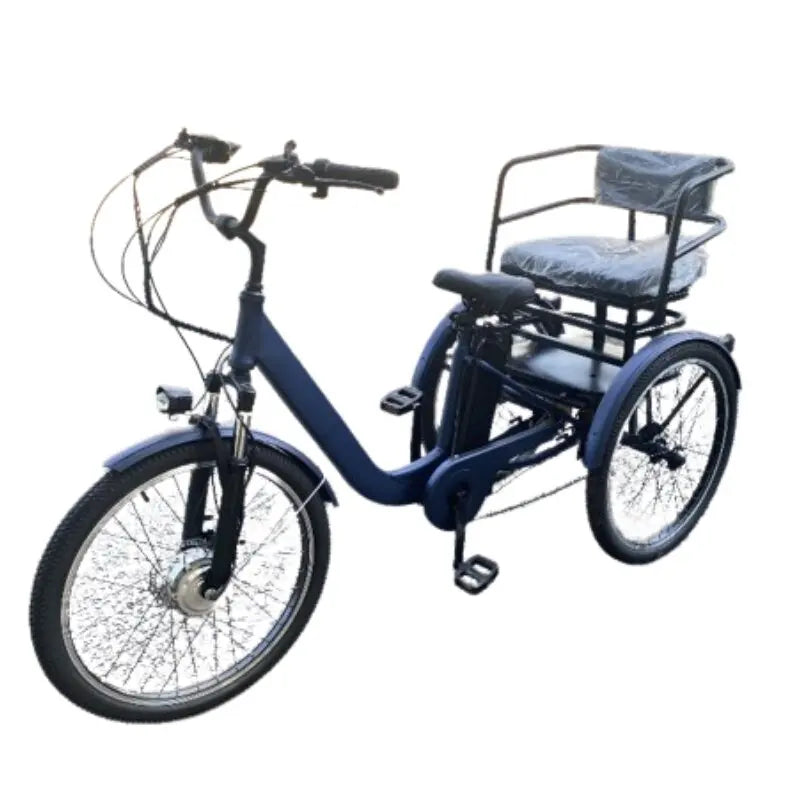 Feature Modell Eltern Kind Ebike - 20 Zoll 48V 3 Räder