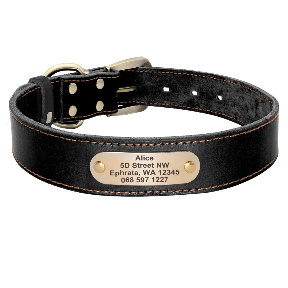 Anpassen Leder Hund Halsband Leine Set Personalisiert Haustier Halsband Leine Kostenlose Graviert Namensschild Für Kleine Mittlere Große Hunde