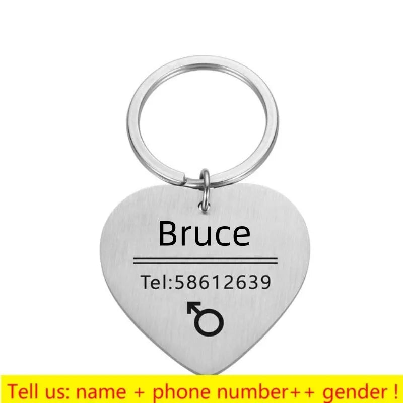 Haustier-ID-Tag 2025: Personalized-Engraved Anti-Lost - Pet Safety Collection