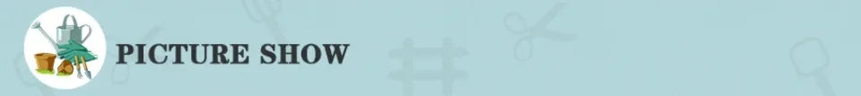 Plants Greenhouse Tent Transparent Folding Horticultural Greenhouse Warm Room Mini Sunroom Garden Nursery Plant Protective Cover