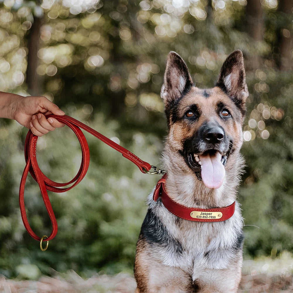 Zgardă de câine din piele naturală, set de lesă, personalizată, cu lesă, placă de nume gravată fără lesă, pentru câini mici, medii, mari