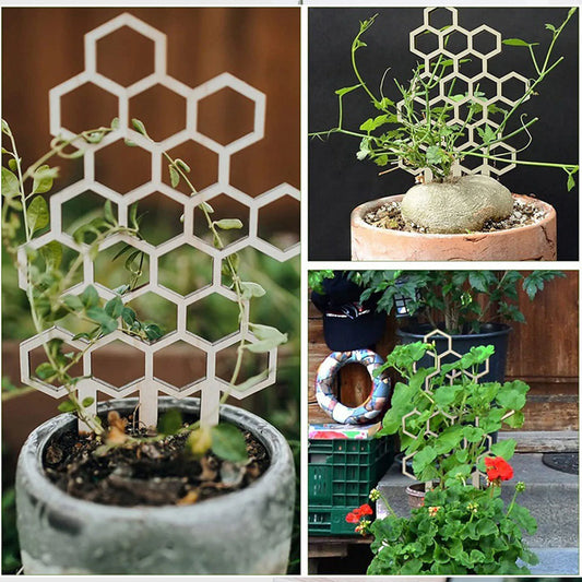 Honeycomb Shaped Plants Trellis Potted Plants Supporting DIY Frame for Indoor and Outdoor Plants Garden Planting Supporting Rack
