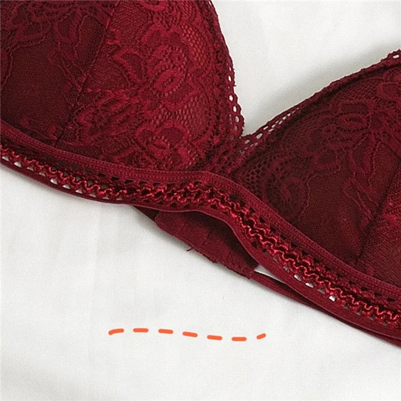 Lace Embroidery Bra Women elegant Deep V Underwear Floral Brassiere Stretch Seamless Push Up Lingerie Bralette Triangle Cup Padded