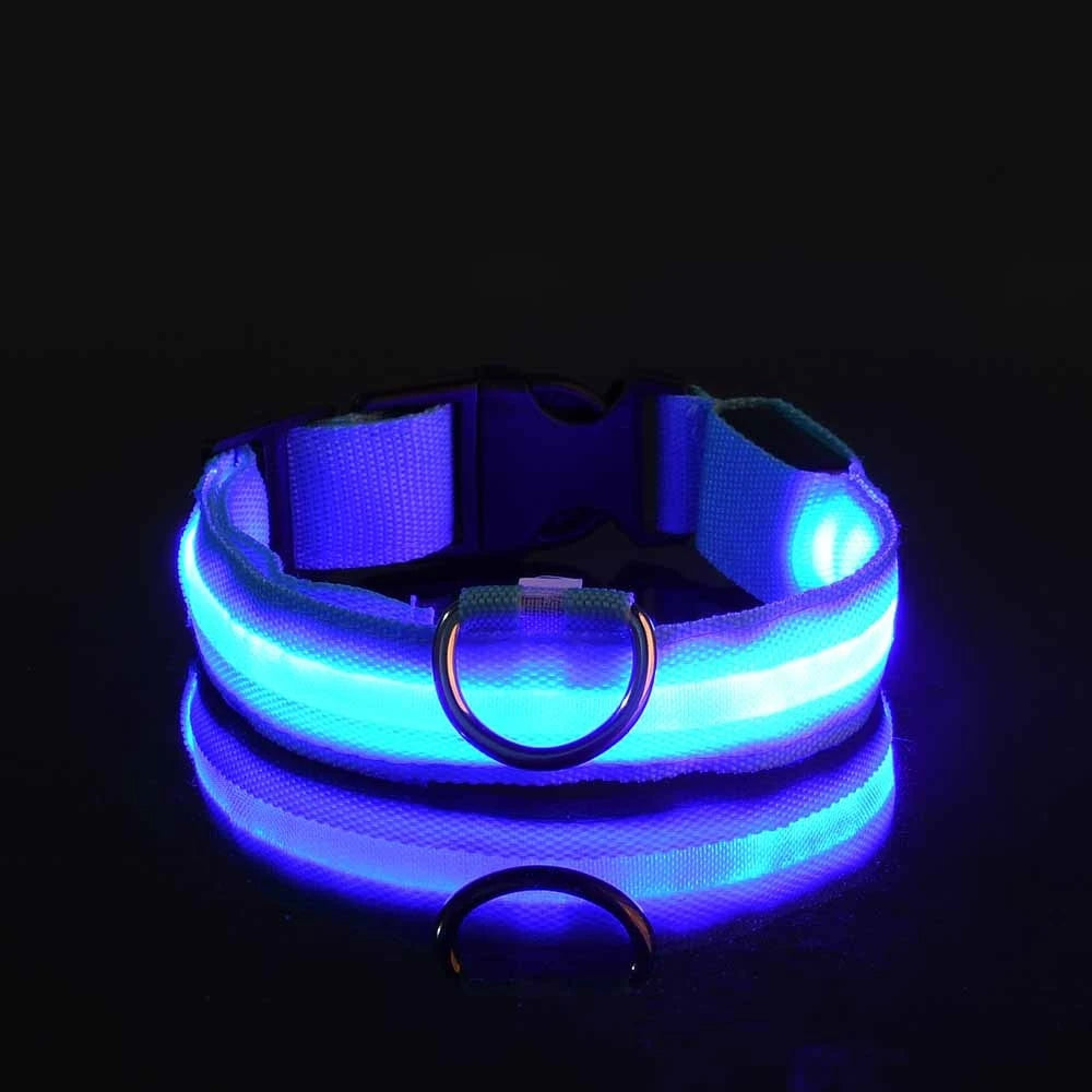GlowDog Pro LED blinkend Leine - Nylon 1,5 m, USB 5V