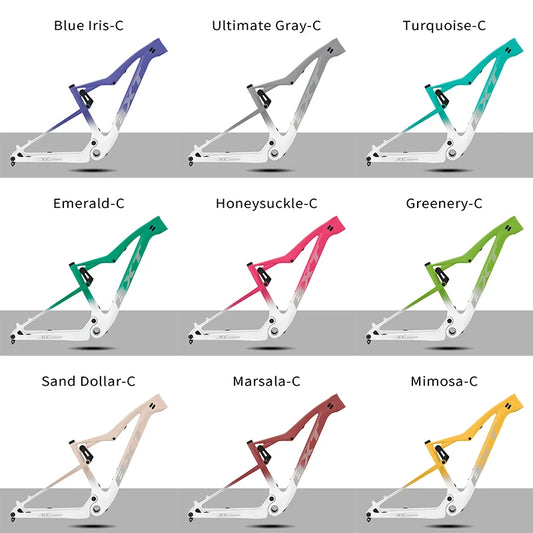 BXT 29er Carbon Full Suspension Rahmen - Boost 148x12 100mm