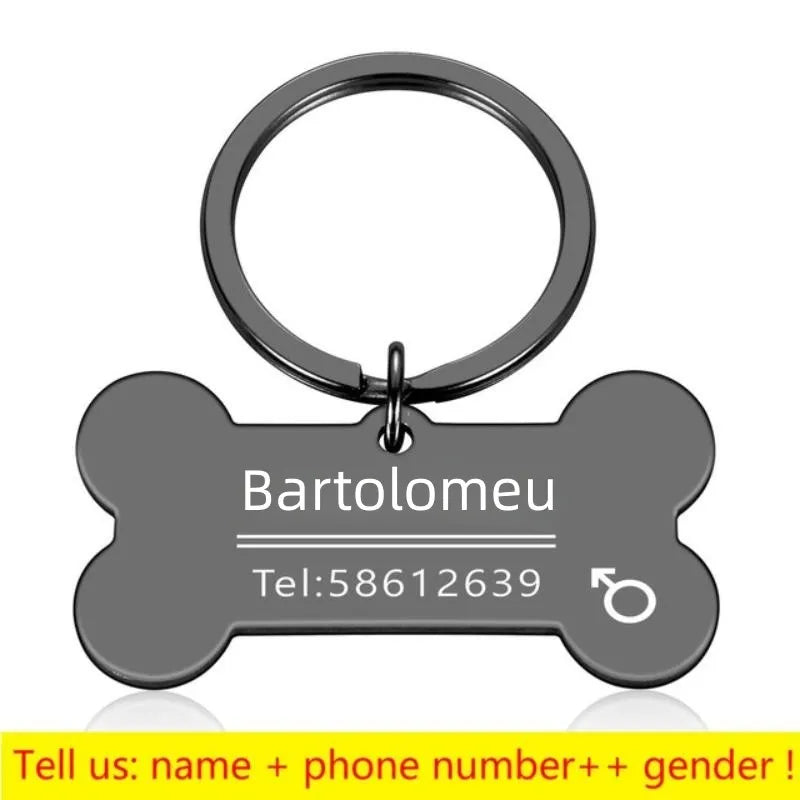 Haustier-ID-Tag 2025: Personalized-Engraved Anti-Lost - Pet Safety Collection
