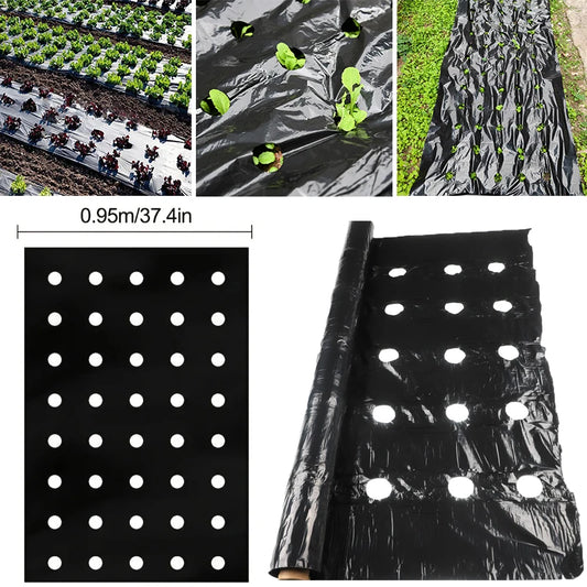 Tewango Mulchfolie Perforiert - 0,95 m 5 Löcher 15 cm Abstand