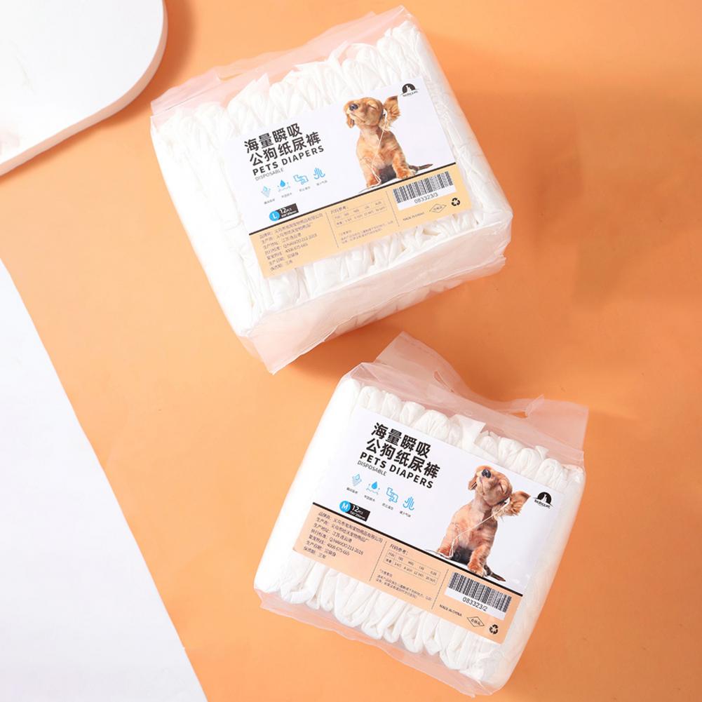 PetCare Hunde Windeln Einweg dünn - 12 Stk, Größe M