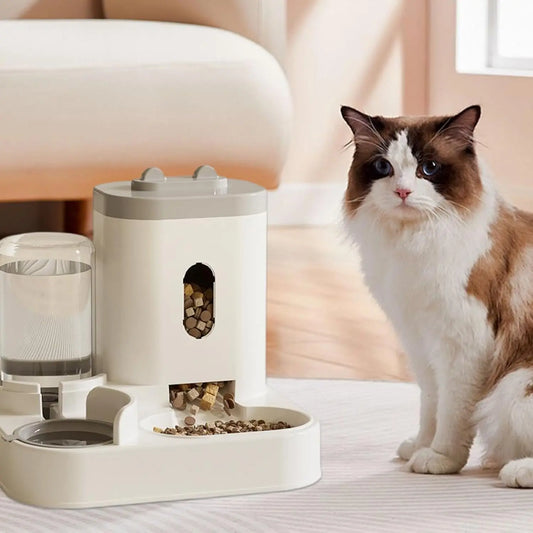 Futterautomat 2025: Smart-Pet Food-Dispenser - Automatic Cat Collection
