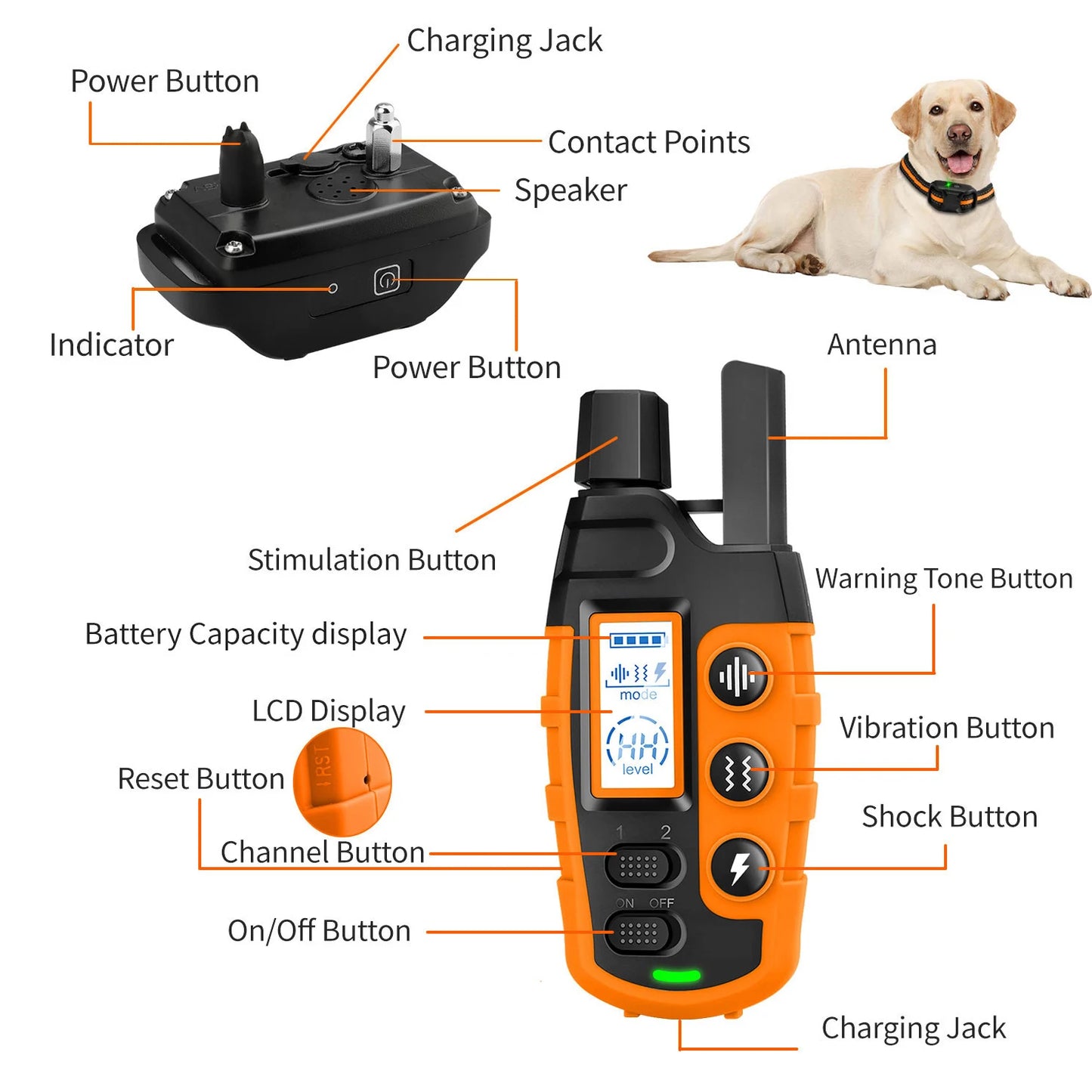 WXRPET RS2 Training Halsband - 3300ft, 5-120lbs, wasserdicht