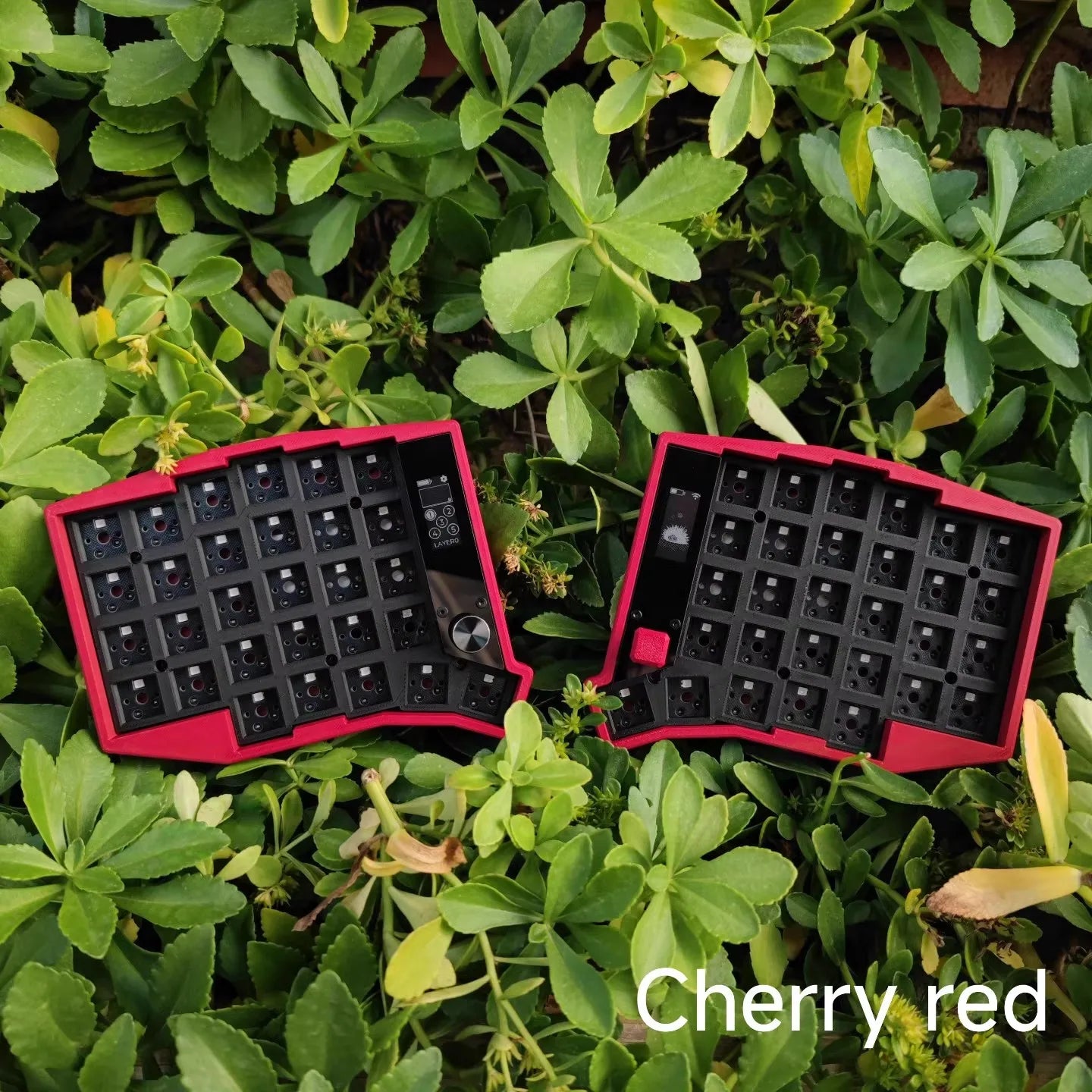 Sofle Split-Tastatur-Kit Dual-Modus - 58T Hot-Swap BT