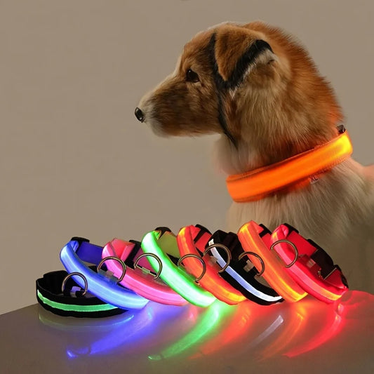 GlowDog Pro LED blinkend Leine - Nylon 1,5 m, USB 5V