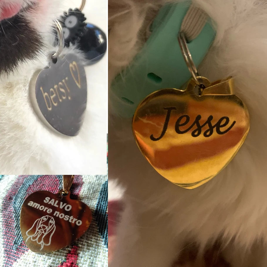 PAWFECT Anpassen Hund Katze ID Tag 2025: Graviert Personalisiert Haustier Halsband Anhänger - Name Knochen Schlüsselring Halskette Welpen Edelstahl Dropshipping