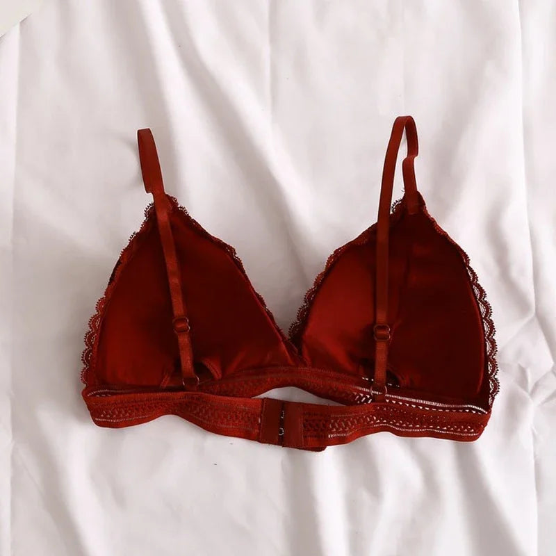 Lace Embroidery Bra Women elegant Deep V Underwear Floral Brassiere Stretch Seamless Push Up Lingerie Bralette Triangle Cup Padded