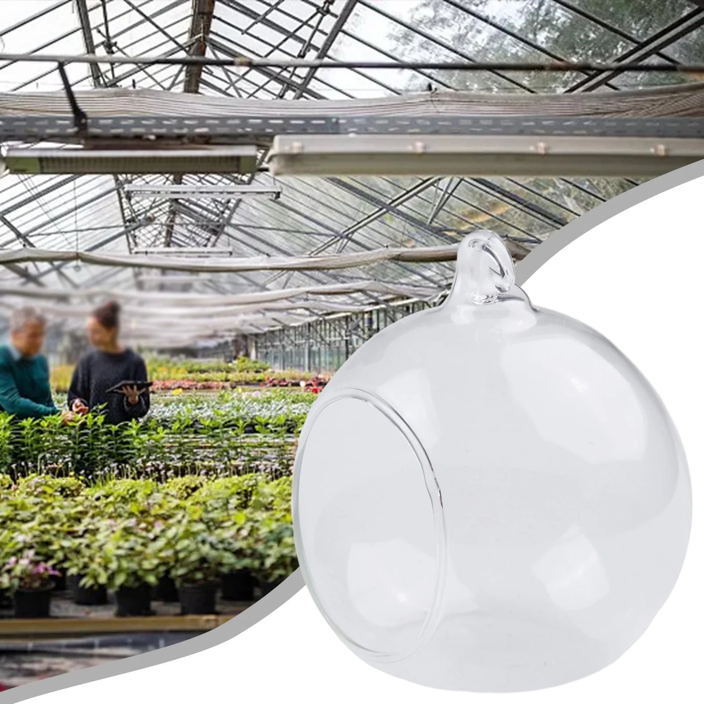 LEENKEA Hängende Glasvase - Borosilikatglas Klein Pflanzen