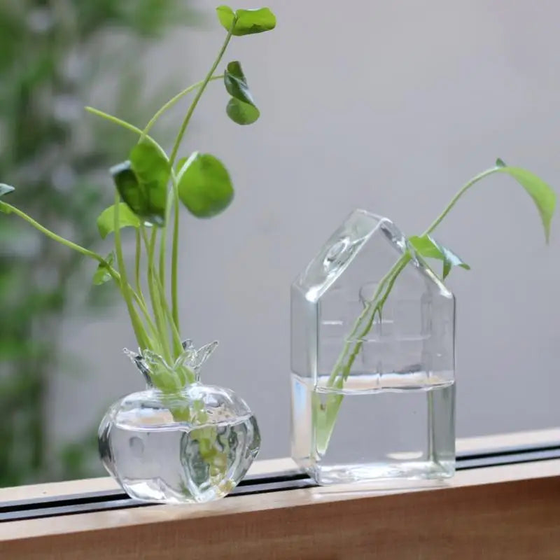 Home Planters Clear Glass Flower Vase Plant Stand Vase Flower Pot Hydroponic Container for Garden and Home Decor