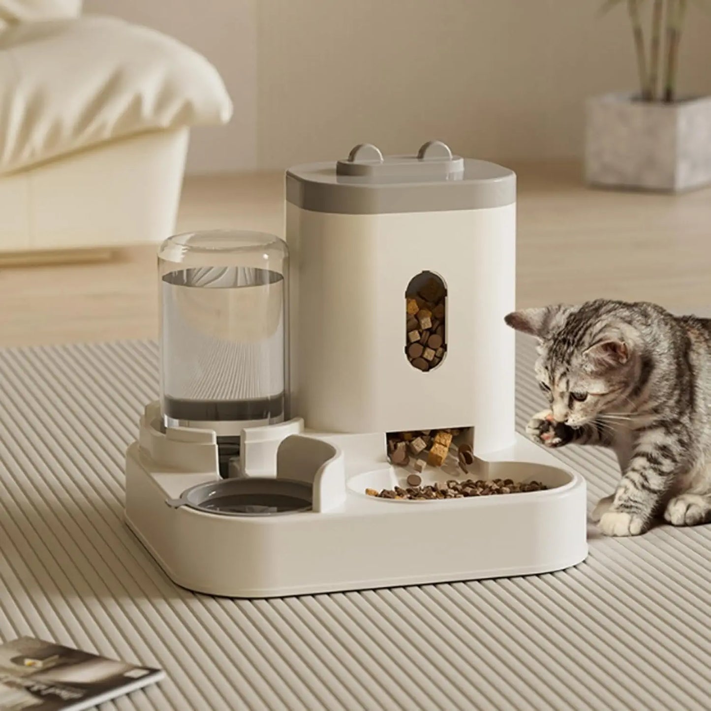 Futterautomat 2025: Smart-Pet Food-Dispenser - Automatic Cat Collection