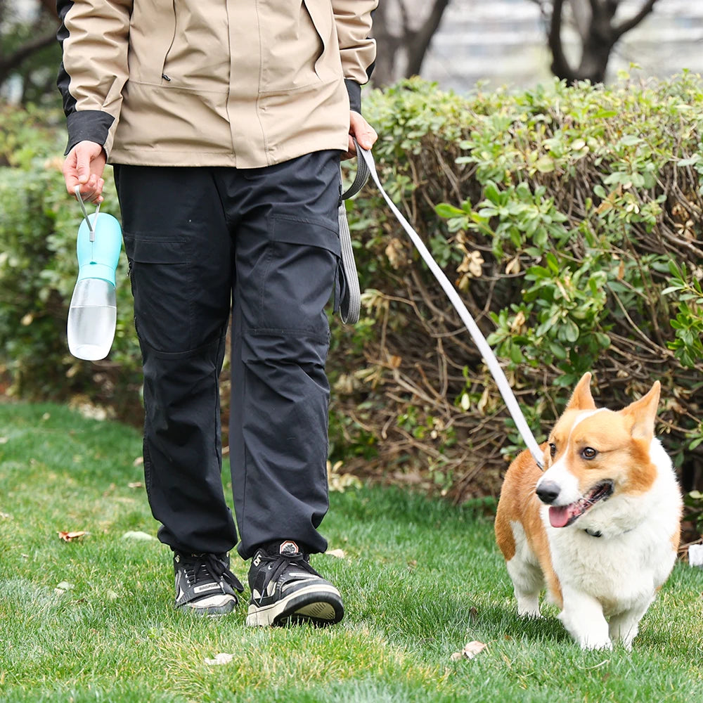 BigDog Wasserflasche Hund - 500ml, auslaufsicher, tragbar