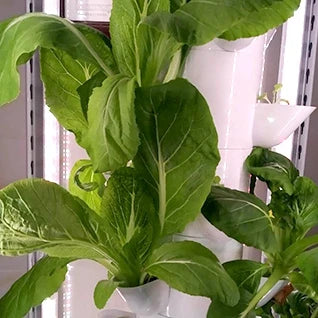 Vertical Hydroponic Tower  Greenhouse Garden Indoor Soilless Culture Growing System Vertical Tower Veg Planter Grow Pot Kit