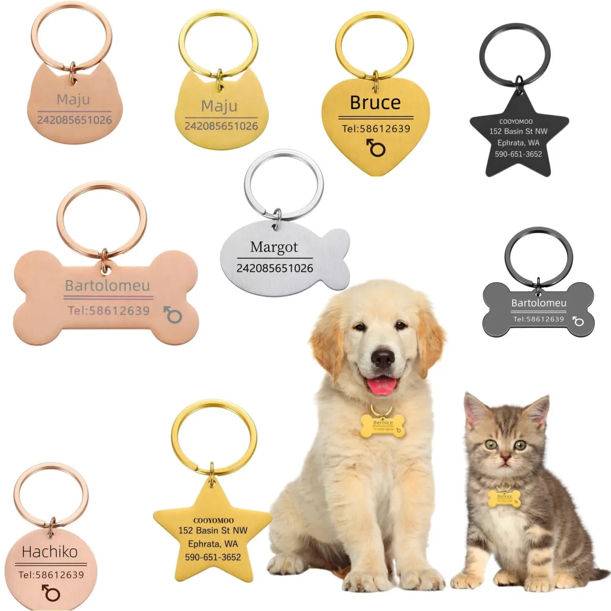 Haustier-ID-Tag 2025: Personalized-Engraved Anti-Lost - Pet Safety Collection