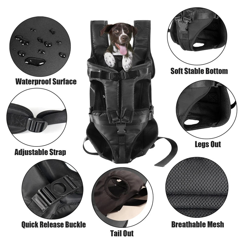Benepaw Hund Träger Rucksack 2025 - Verstellbar Haustier Träger Vorne Gerichtet - Freihändig Sicherheit Welpe Reise Tasche Klein Mittel Hund