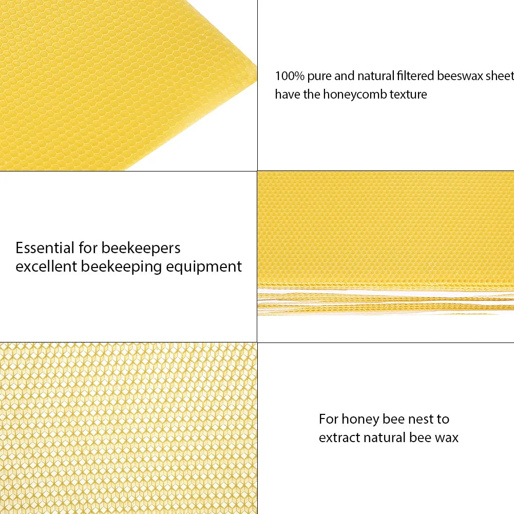 Bienenhaltungsnestkasten Wachshonigkammblätter Imkerwerkzeuge Wachshonig Honigkamm