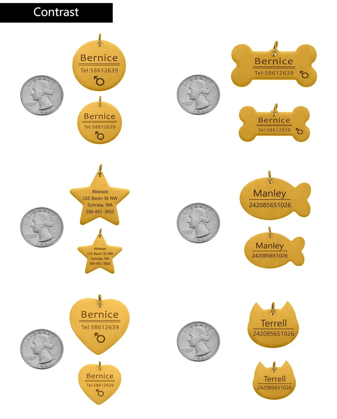 Haustier-ID-Tag 2025: Personalized-Engraved Anti-Lost - Pet Safety Collection