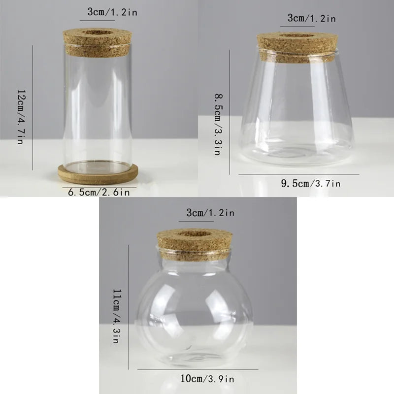 Choice Mini Hydroponischer Blumentopf - Glas 250ml 12cm
