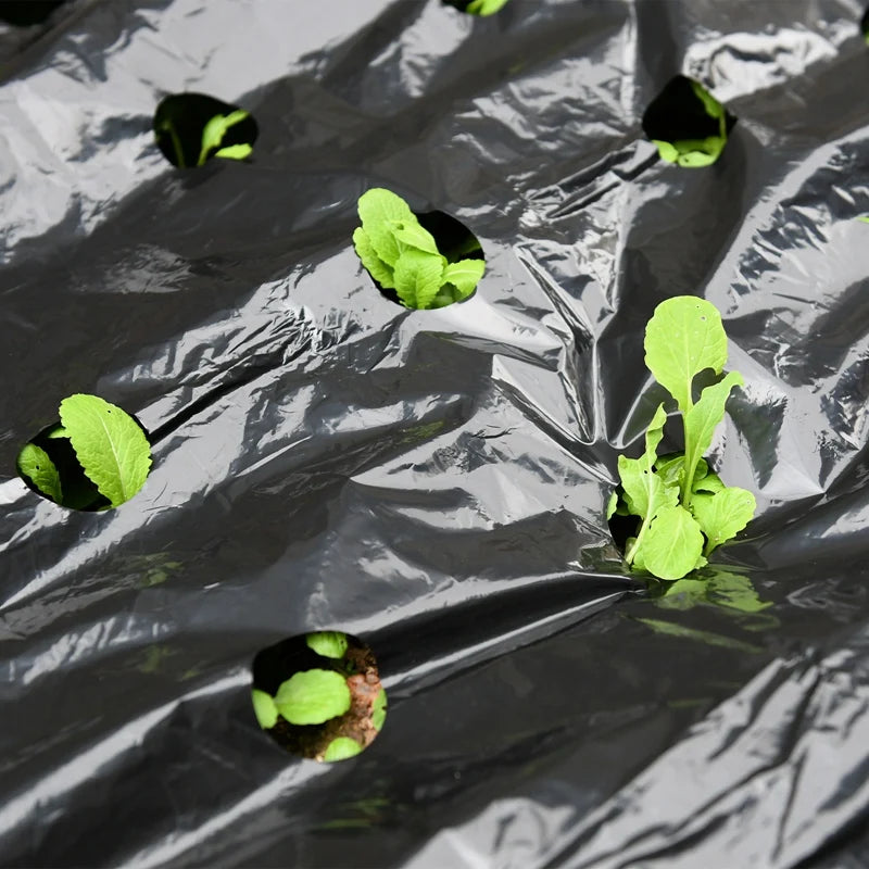 Tewango Mulchfolie Perforiert - 0,95 m 5 Löcher 15 cm Abstand