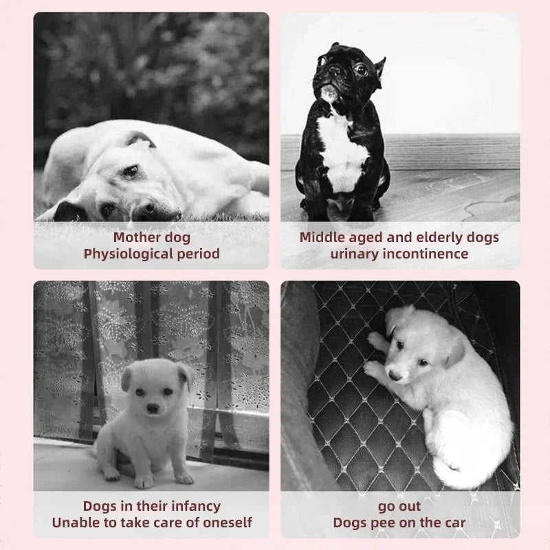 MOONBIFFY Einweg-Hundewindeln Superabsorption - 10 St, M