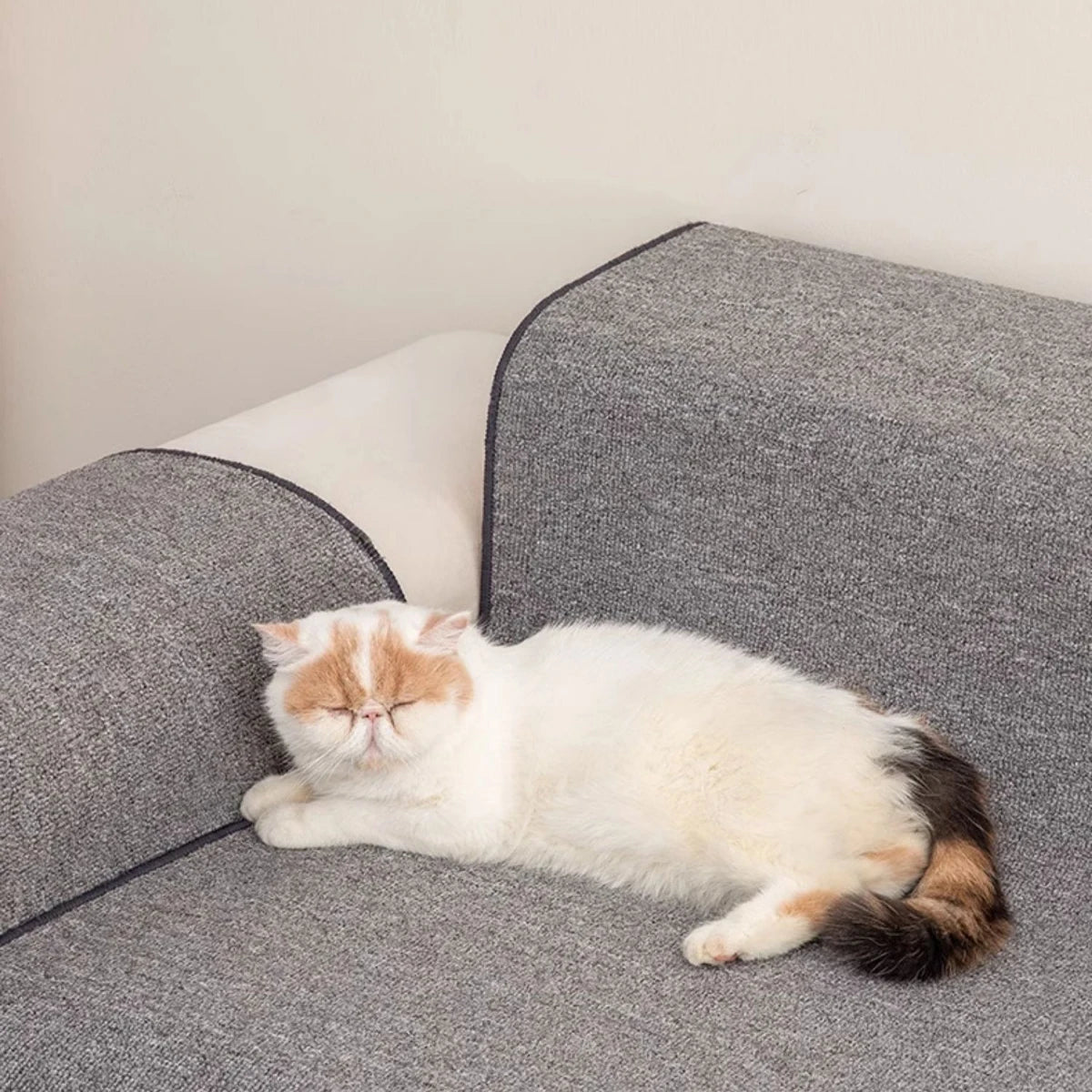 Large Cat Scratching Mat Carpet Non-Slip Pet Bed Mat Sofa Protector Cat Scratcher Anti-Scratch Furniture Protector for Cats