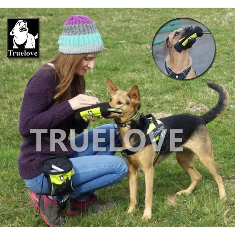 Truelove Futter Dummy Hund: Haustier Leckerli Tasche Reflektierend 3M - Training Tragen Spielzeug Nylon Griff S/M/L/XL 250ml-1L Orange Gelb