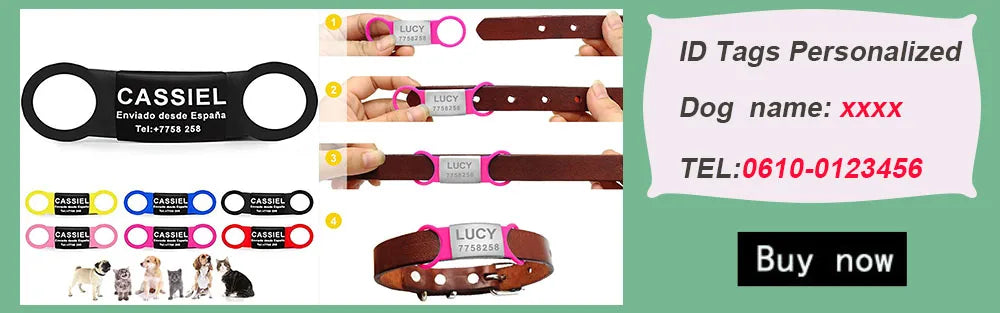 Neues Hochwertiges Haustier Hund Halsband 2025: Wodondog PVC Wasserdicht Anti Schmutzig - Katzen Halsband Einfach Reinigen Große Kleine Hunde Welpen