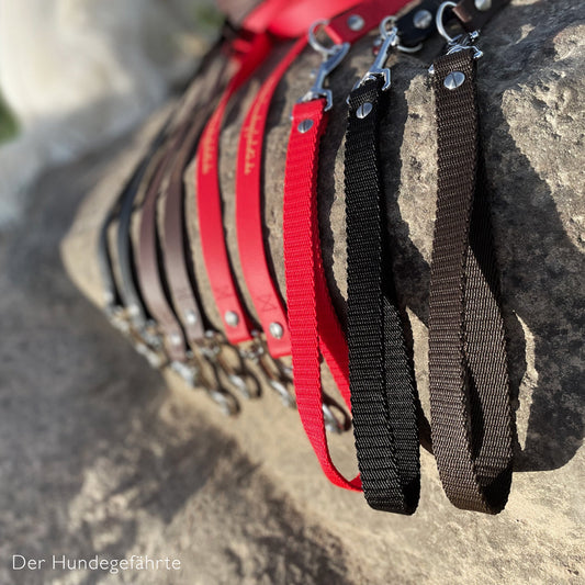 Doppel-Schleppleine FERNWEH aus BioThane®/POP - Band