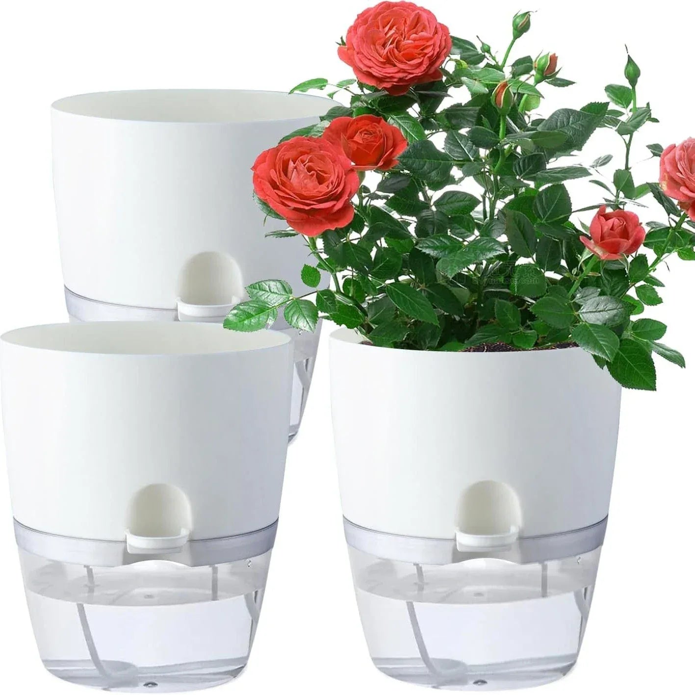Flowerpots 3 Set Transparent Plastic Double-deck And Self-absorbent Cotton Rope Lazy Flower Pot Fashion Flowerpot Garden Supplie - Golden Bridge Store