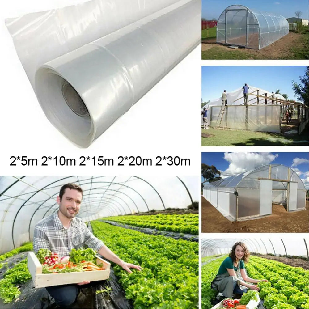 Plastic Transparent Green 15m Vegetable Greenhouse Agricultural Cultivation Ptotection Cover Film