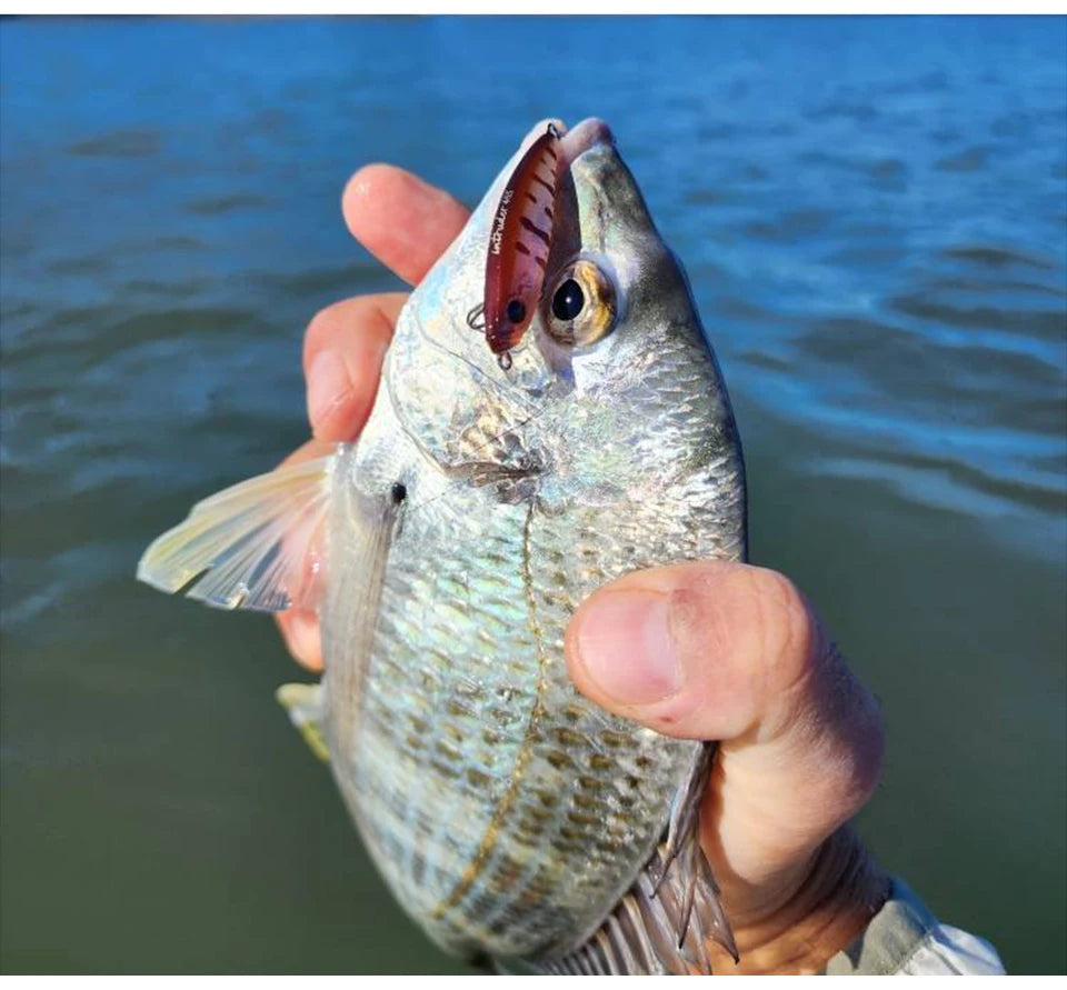 TSURINOYA 46S Sinking Minnow Fishing Lure Intruder 46mm 5g Artificial Trout Ajing Stream Lake Jerkbait Rockfishing Hard Baits