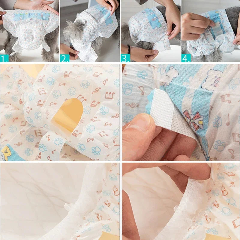 PawCare 10er Hundewindeln - Superabsorb. S, Auslaufsicher