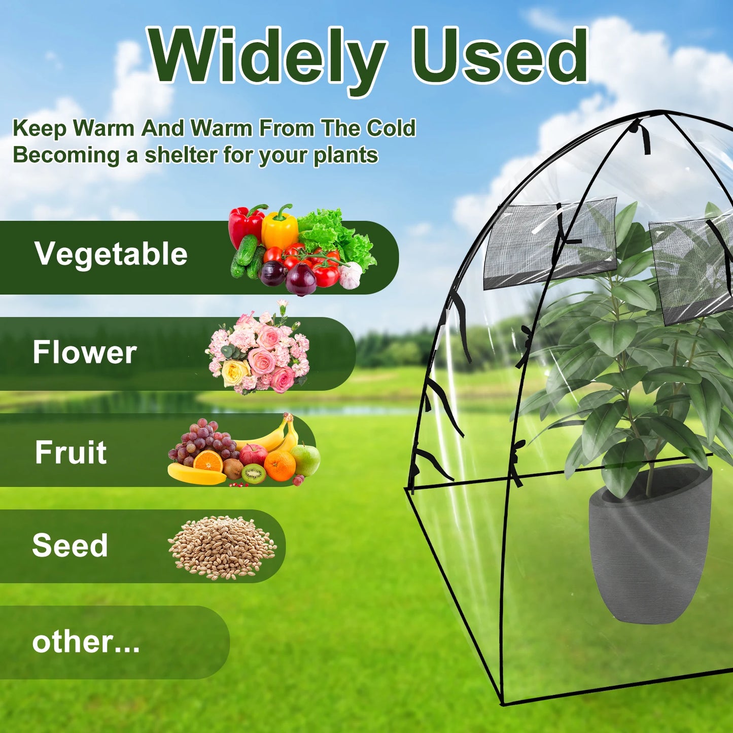 Foldable Mini Greenhouse PVC Pop Up Transparent Greenhouse With Zipper Closure Preservation Plant Greenhouse Garden Accessories