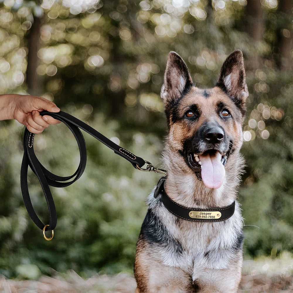Echtes Leder Hund Halsband Leine Set Personalisiert Haustier Halsband Mit Leine Kostenlose Gravur Namensschild Für Kleine Mittlere Große Hunde