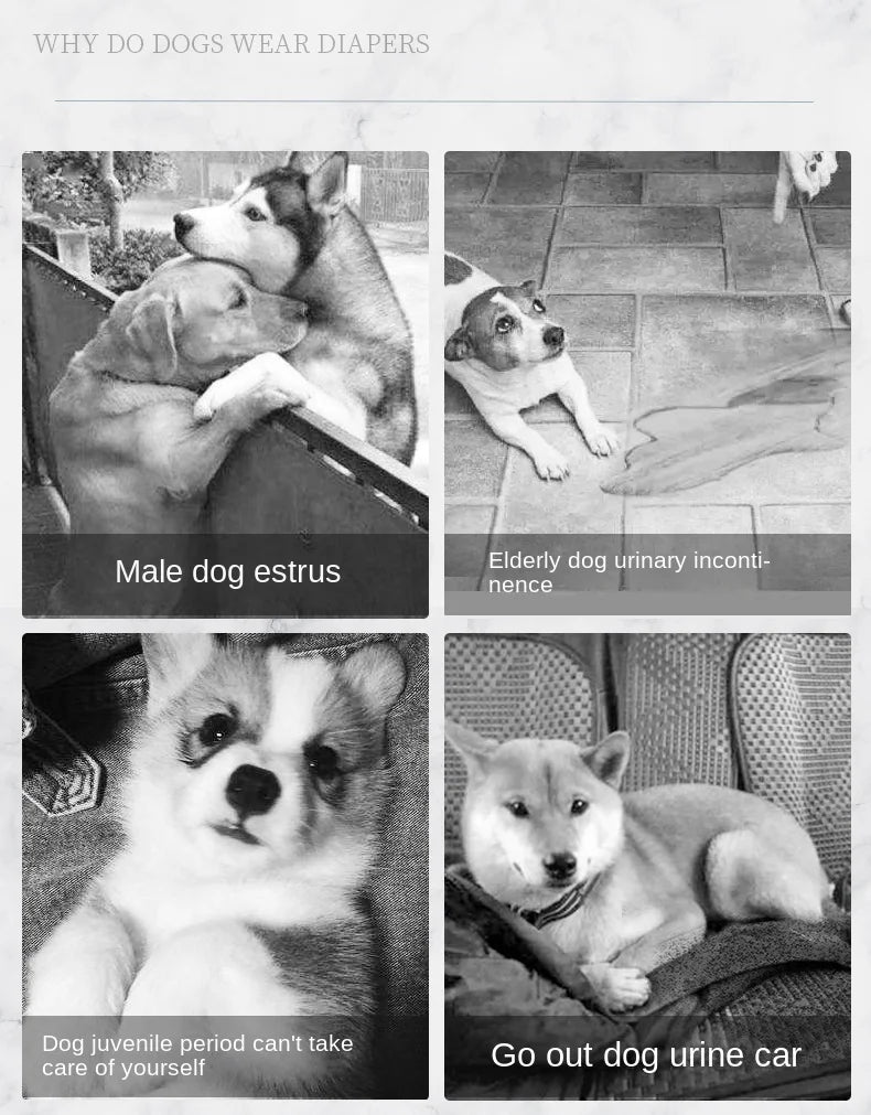 PetComfort Hund Einwegwindeln weiblich - 10er M hoch