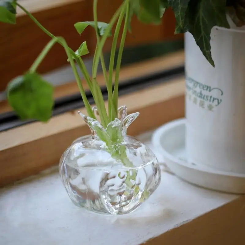 Home Planters Clear Glass Flower Vase Plant Stand Vase Flower Pot Hydroponic Container for Garden and Home Decor