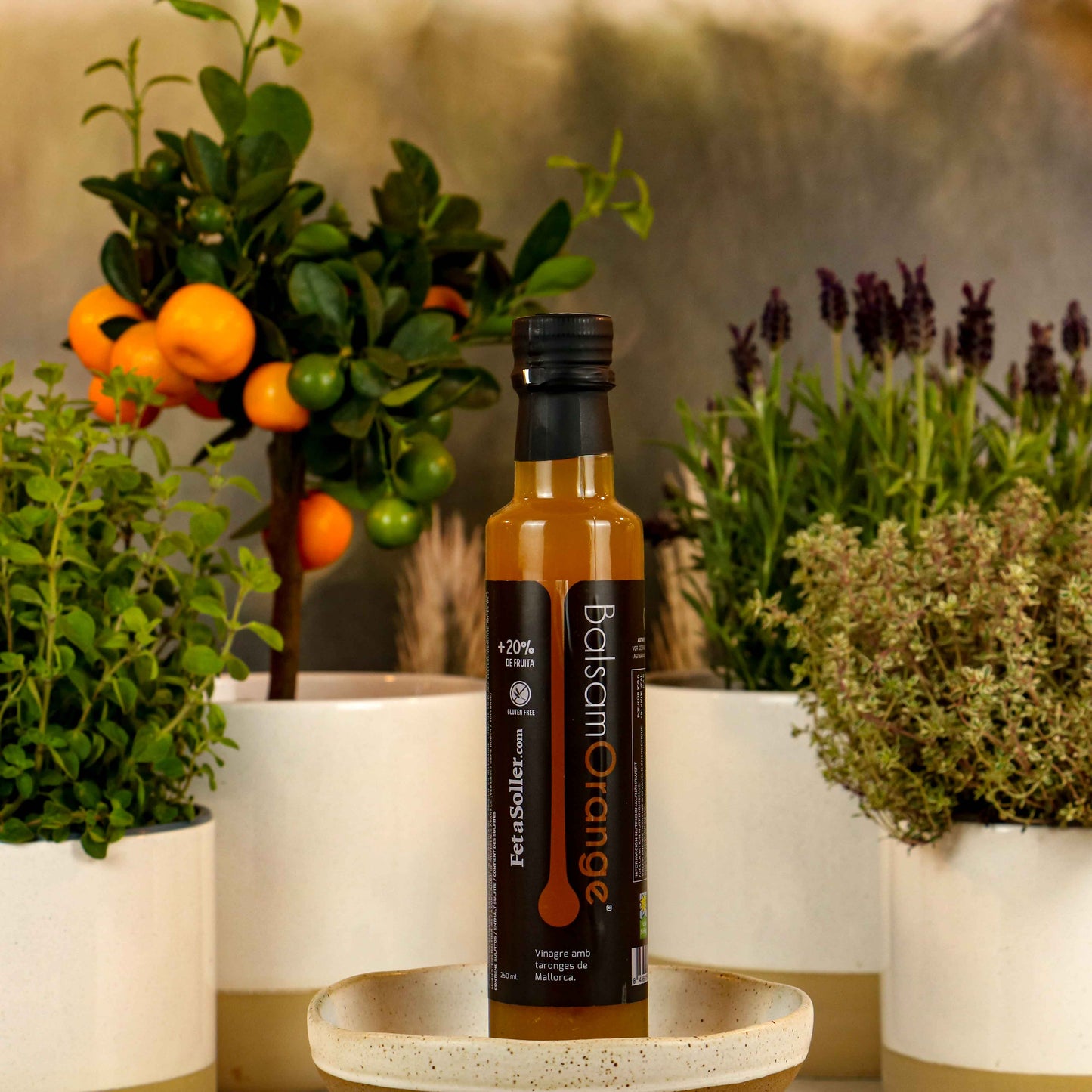 VIVA LA VIDA Vinaigrette Balsamică de Portocale Notă Fructată de Portocală - Conținut 250 ml Aciditate Ușoară Aromă Intensă