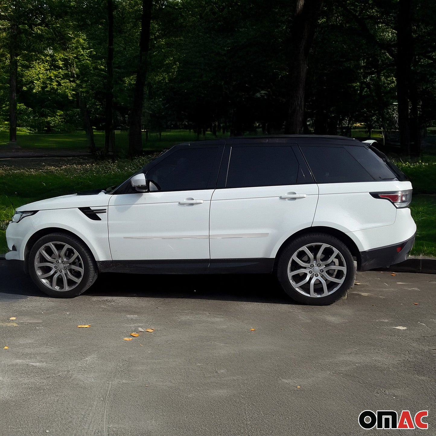 Seitentürleiste Türleiste für LR Range Rover Sport L494 2013-2022 Edelstahl 4x