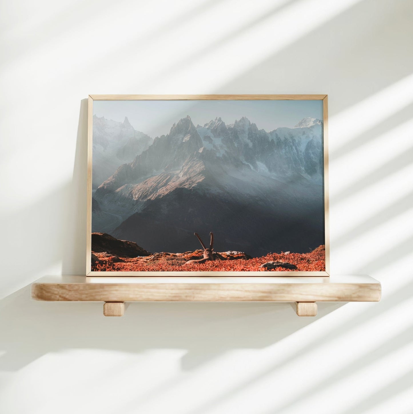 Ibex At Sunrise Wandbild Sonnenaufgang Mont Blanc - 200 g/m² ungerahmt A4-A3