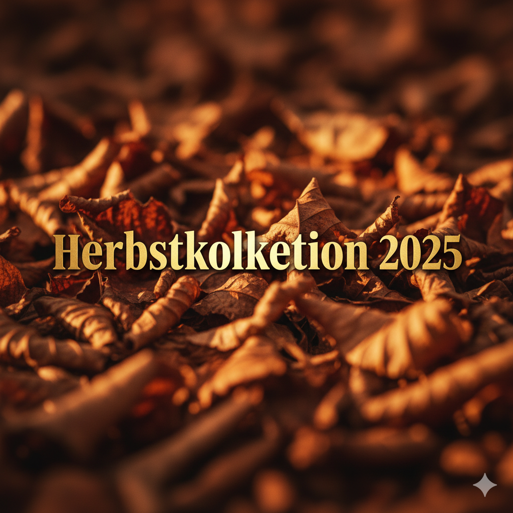 Herbstkollektion 2025