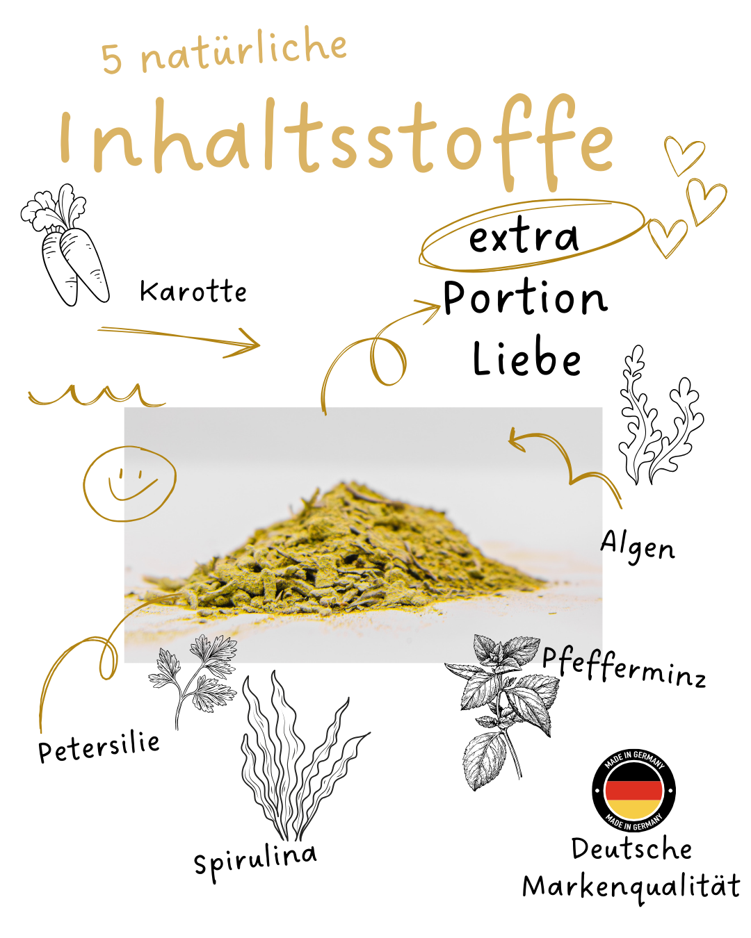 Riolino FreshBite – naturalna pielęgnacja zębów dla psów