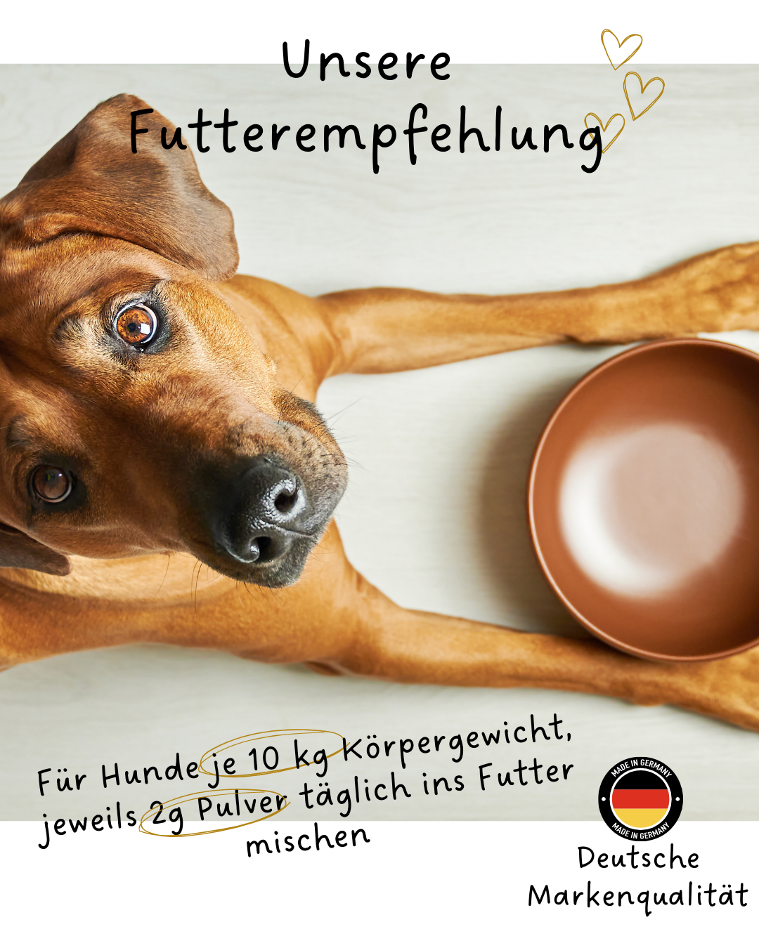 Riolino FreshBite – naturalna pielęgnacja zębów dla psów