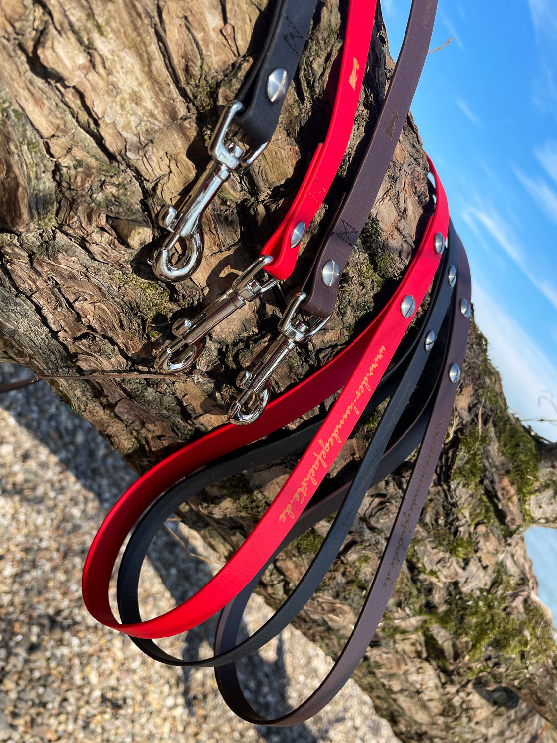 Hundeleine UM'S ECK (1,50 m) aus BioThane®/POP - Band