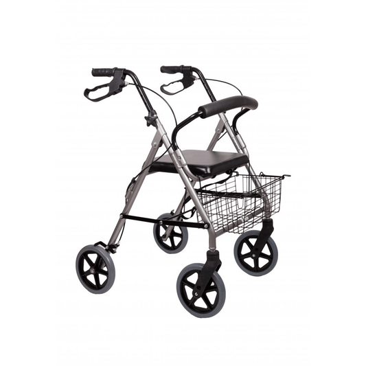 Rollator din aluminiu - AT51003